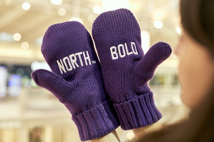 Bold North Mittens